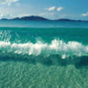 Meet your Posher, Trisa